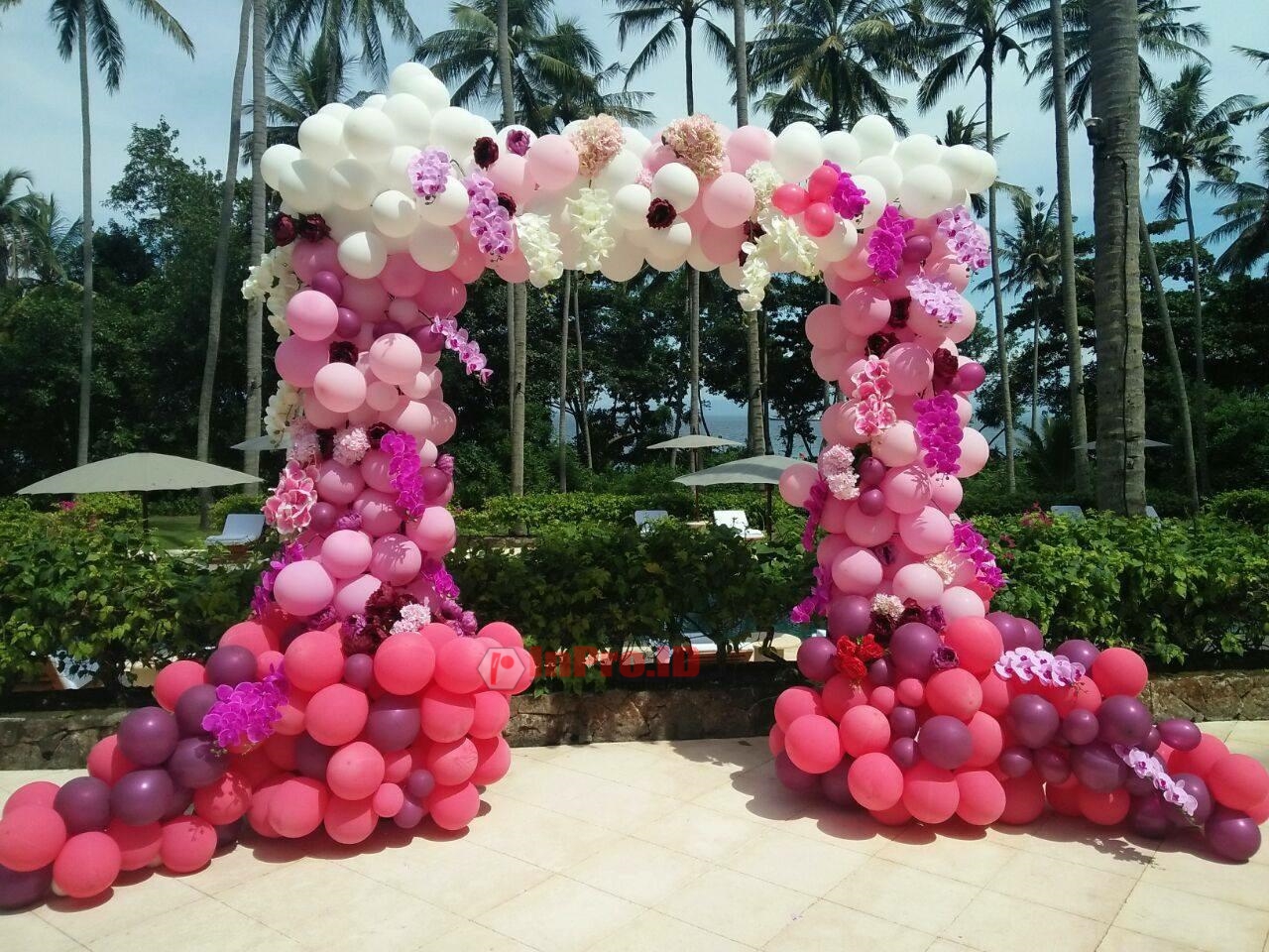 Dokumentasi Birthday Papua Kreatif — foto 21