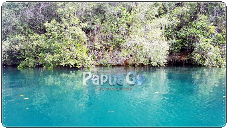 Dokumentasi Trip Raja Ampat Papua Kreatif — foto 5