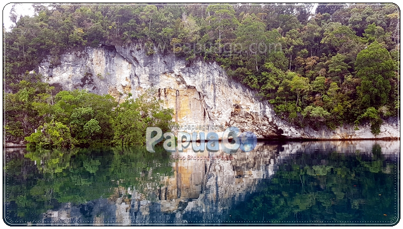 Dokumentasi Trip Raja Ampat Papua Kreatif — foto 6