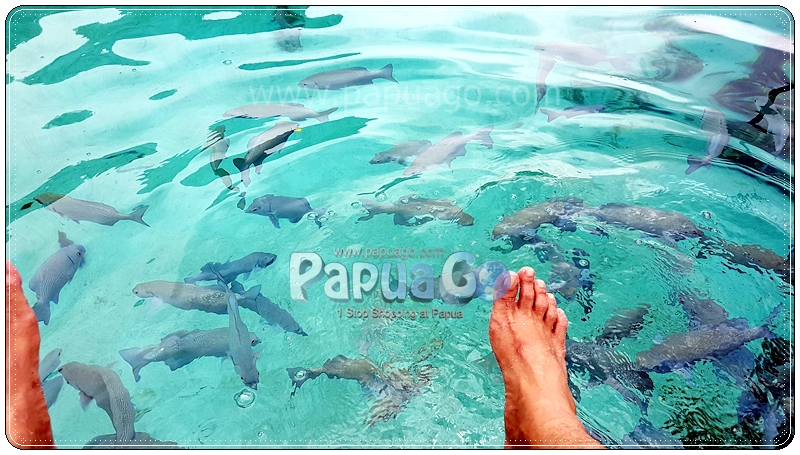 Dokumentasi Trip Raja Ampat Papua Kreatif — foto 14