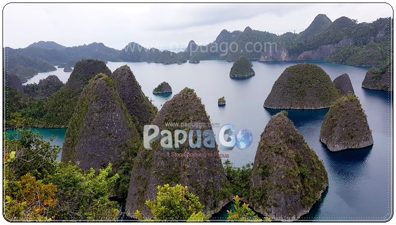 Dokumentasi Trip Raja Ampat Papua Kreatif — foto 16