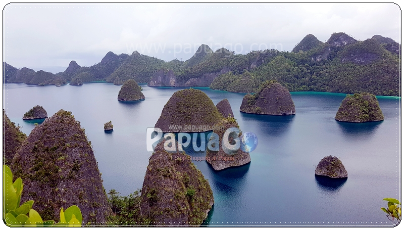 Dokumentasi Trip Raja Ampat Papua Kreatif — foto 18