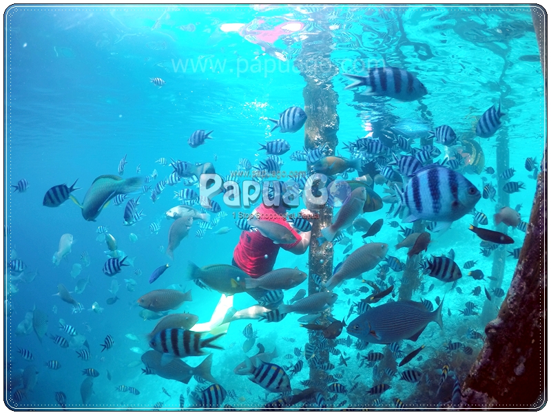 Dokumentasi Trip Raja Ampat Papua Kreatif — foto 31