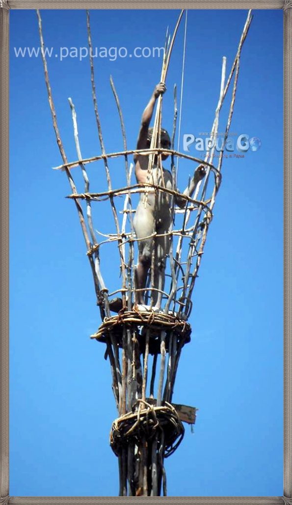 Trip Wisata Papua — Papua Kreatif Group