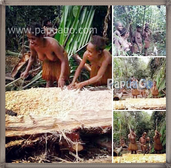 Dokumentasi Trip Papua Papua Kreatif — foto 5