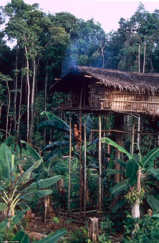 Dokumentasi Trip Papua Papua Kreatif — foto 27