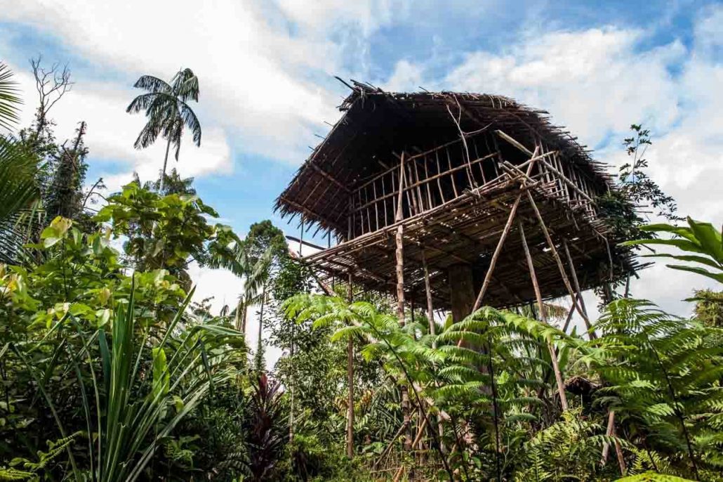 Dokumentasi Trip Papua Papua Kreatif — foto 32