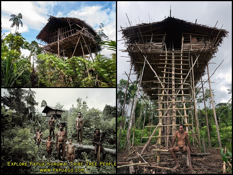 Dokumentasi Trip Papua Papua Kreatif — foto 36